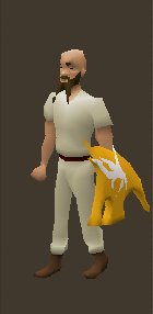 Lava Spirit Shield Equiped.png