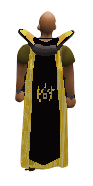 Platinum Cape Equipped.png
