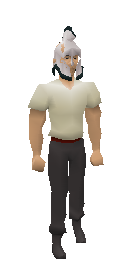 3rd Age Full Helm Equiped.png