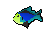 Rainbow Fish.png