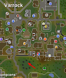 Varrock World Boss - Map - Dreamscape.png