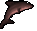 Great White Shark
