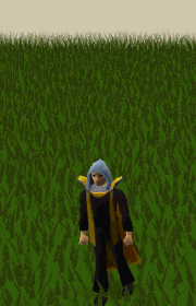 Summoning cape emote.gif