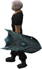 Angelic Ice Shield Equipped.png