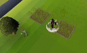 Farmingp patch.png
