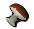 Mort Myre Fungus.png