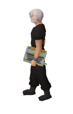 Avian Book Equipped.png