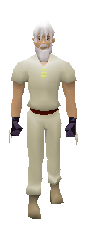 Dragonbone Gloves equiped.png