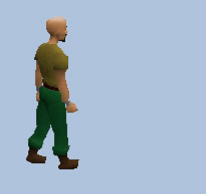 Space invaderpet.gif