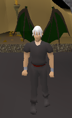 Shadow Wing.png