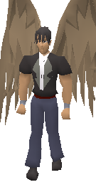 Brown wings.png