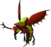 Cox Vespula.png