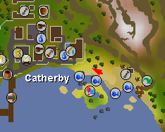 Catherby World Boss - Map - Dreamscape.png