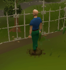 Diglet4.gif