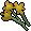 Orange Flowers.png