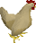Chicken.png
