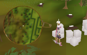 Great Maze crate 2.png