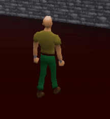 Mario Jr pet.gif
