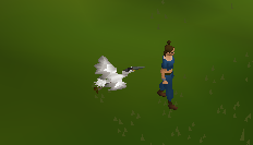 Heron pet.png