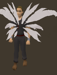 White Glass Wings Equiped.png