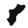 Battarang 50 Packs.png