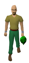 Orb of Winter Equipped.png