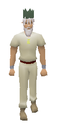 Adamant Partyhat Equiped.png