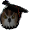 Cheevo.png