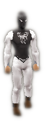 Spidey Noir Set Equipped.png