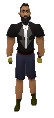 Infernal Gloves Equipped.png