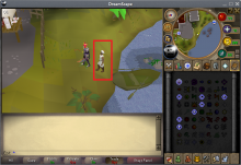Ali.png