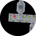 Thumbnail for version as of 08:20, 12 October 2022