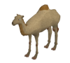 Camel Egg (pet).png