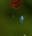 Thumbnail for version as of 08:19, 12 October 2022