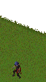 Thumbnail for version as of 08:17, 12 October 2022