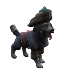 Capt Duke Pet.png