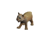 Simba Pet.png