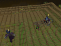 Thumbnail for version as of 04:16, 28 June 2025
