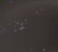 Thumbnail for version as of 08:21, 12 October 2022