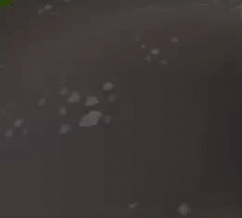 PufferGif.gif