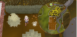 Draynor haystack.png