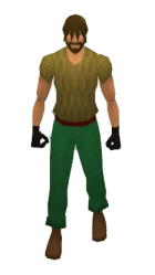 Vitality Gloves Equipped.png