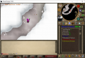21.PNG