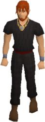 Collector's Necklace Equipped.png
