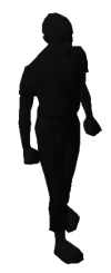 Shadow (pet).png