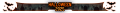 Thumbnail for version as of 21:55, 2 October 2025