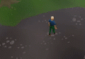 Thumbnail for version as of 08:21, 12 October 2022