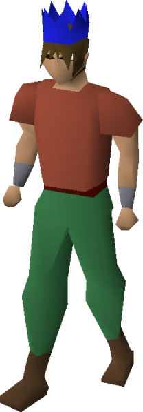 File:Blue partyhat equipped.png