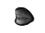 Shark Pet.png