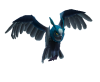 Artemis (pet).png